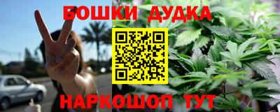 шишки Камышлов
