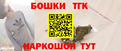 шишки Камышлов