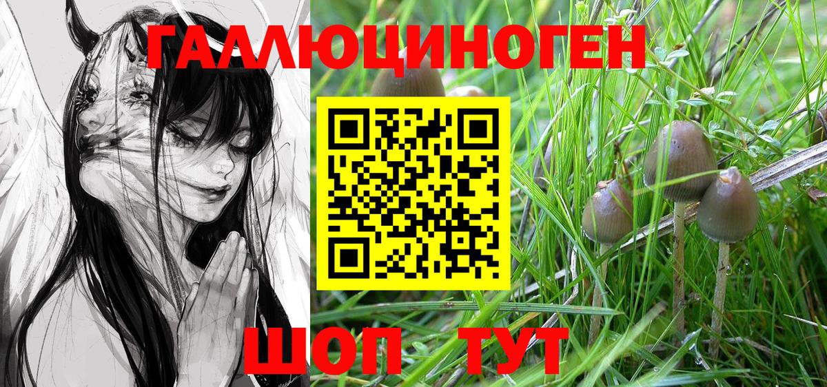 Галлюциногенные грибы Psilocybine cubensis  Вход с VPN  Аксай 