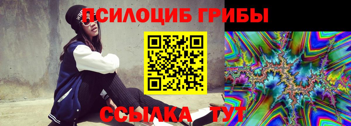 Галлюциногенные грибы Psilocybe Аксай